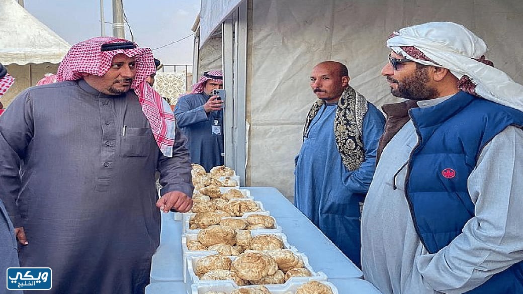 متى ينتهي مهرجان الفقع