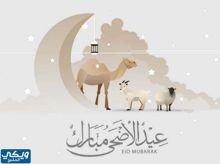 موعد عودة عمل القطاع الخاص بعد عيد الأضحى