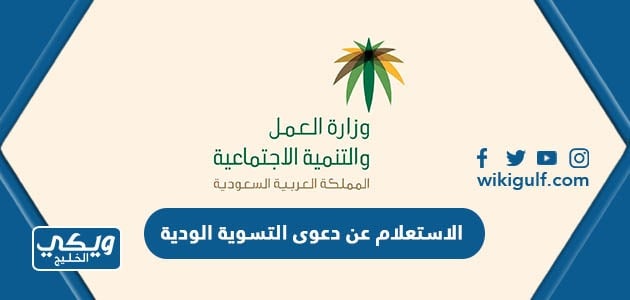 الاستعلام عن دعوى التسوية الودية