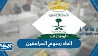 تفاصيل الغاء رسوم المرافقين 2024 / 1446