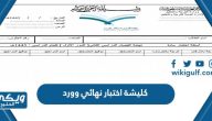 كليشة اختبار نهائي 1446 وورد قابلة للتعديل 