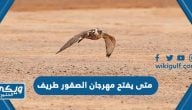 متى يفتح مهرجان الصقور طريف ومتى يغلق 1444 /2023