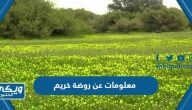 معلومات عن روضة خريم سهلة وبسيطة للأطفال