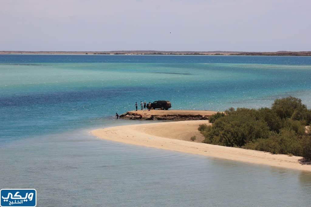 عدد الجزر في السعودية