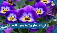 اي الازهار يرتبط بعيد الام