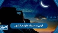 ايش رد مبارك عليكم الشهر