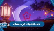 دعاء للاموات في رمضان ، افضل دعاء للمتوفي 2024