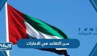 تفاصيل سن التقاعد في الامارات 2024