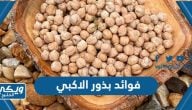 فوائد بذور الاكبي وطريقة الاستخدام