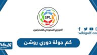 كم جولة دوري روشن للمحترفين