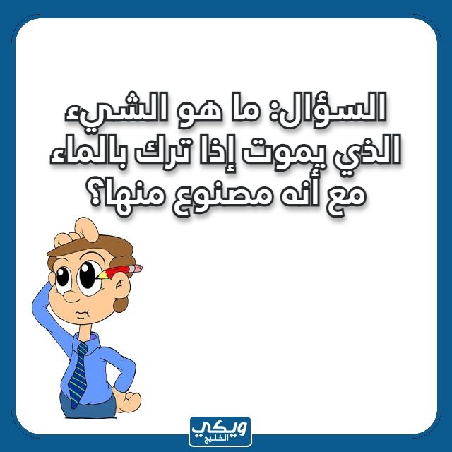 صور اسئلة مسابقات عامة