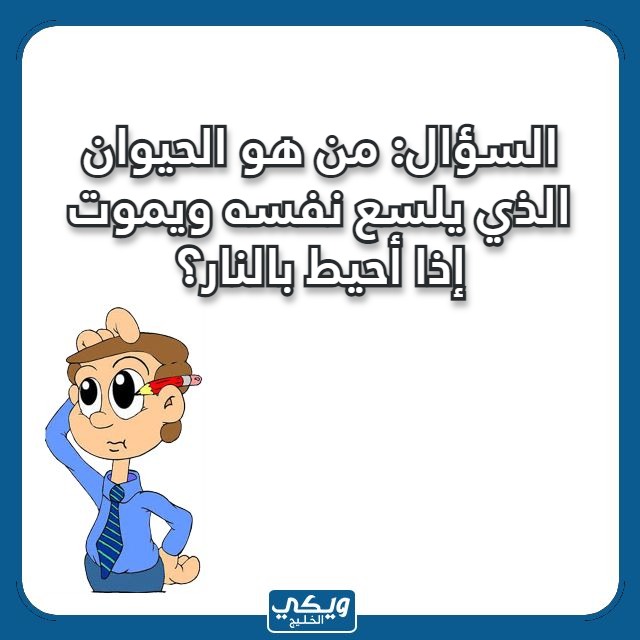 صور اسئلة مسابقات عامة