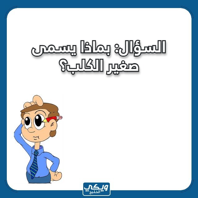 صور اسئلة مسابقات عائلية مع الحل