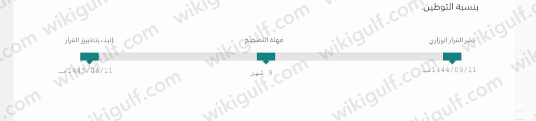 متى يبدأ توطين المشاغل النسائية