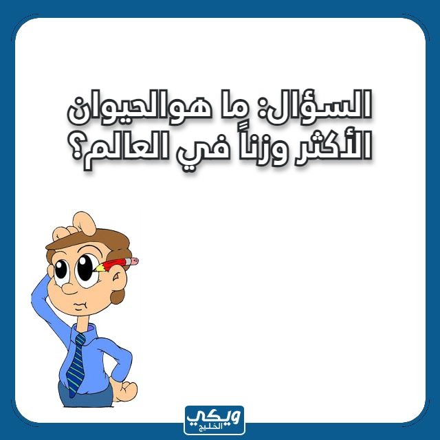 اسئلة مسابقات عامة للاطفال