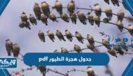 جدول هجرة الطيور 1446 pdf