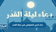 دعاء لابي المتوفي في ليلة القدر اجمل 150 دعاء للاب الميت