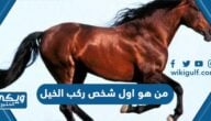 من هو اول شخص ركب الخيل ، اول من ركب الخيل من الأنبياء