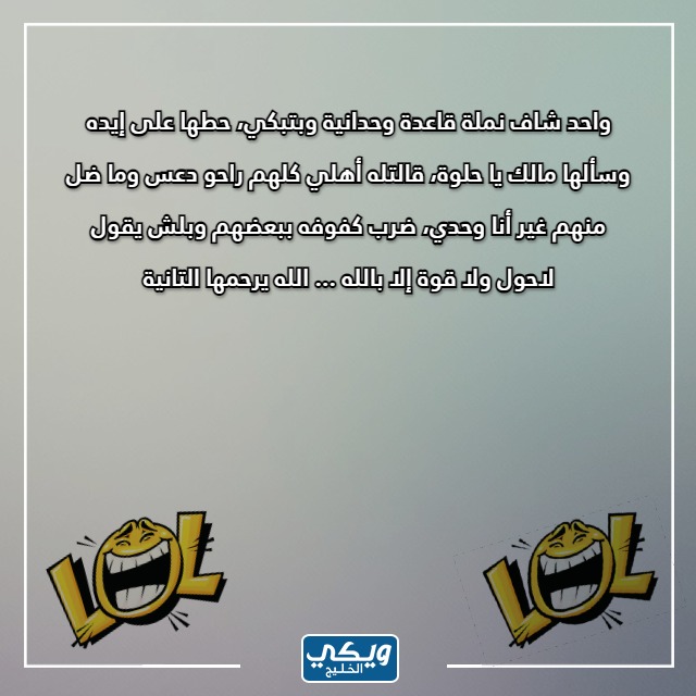 صور نُكت سخيــفة عن النّمل