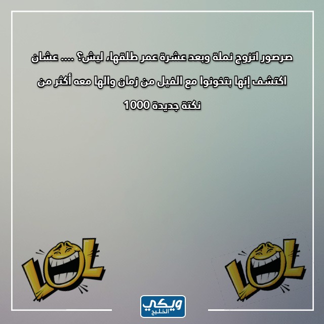 صور نُكت سخيــفة عن النّمل