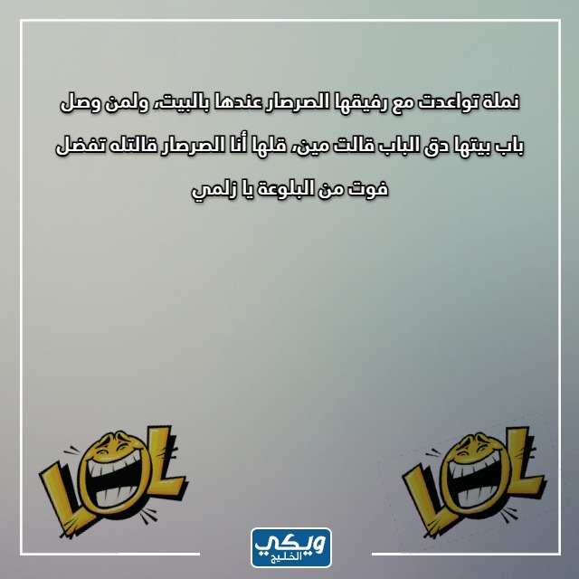 صور نكت سخيفة عن النمل