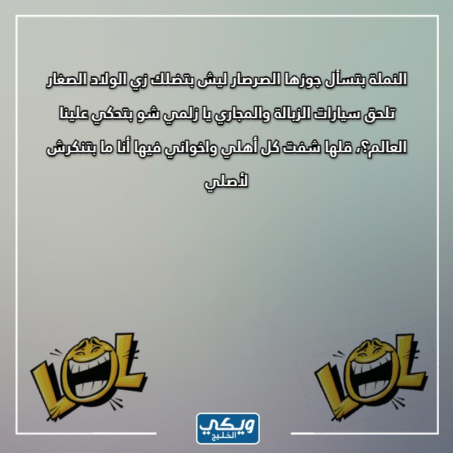 صور نُكت سخيــفة عن النّمل