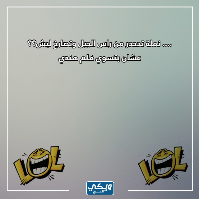 صور نكت سخيفه