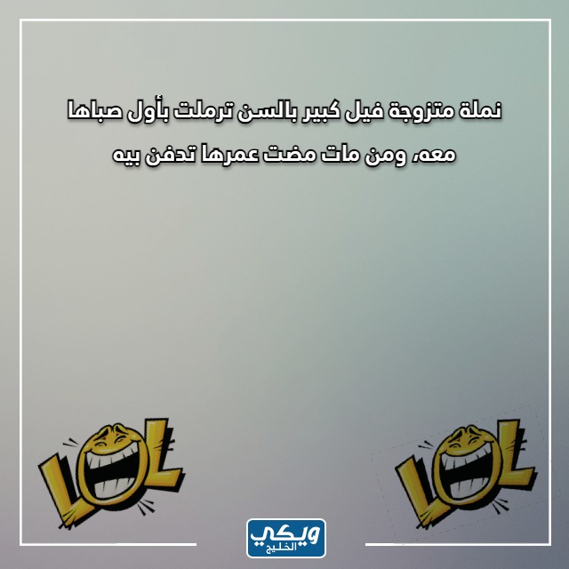 صور نكت سخيفة عن النمل