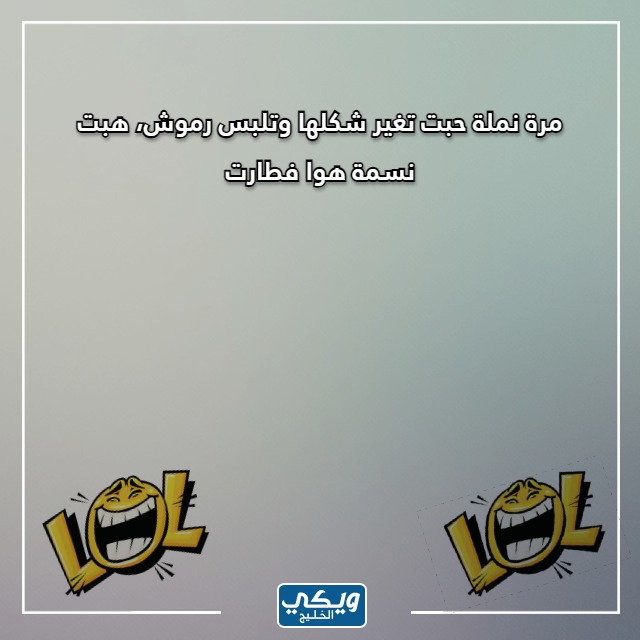 صور نكت سخيفة عن النمل