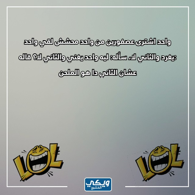 رمزيات انستقرام مضحكة