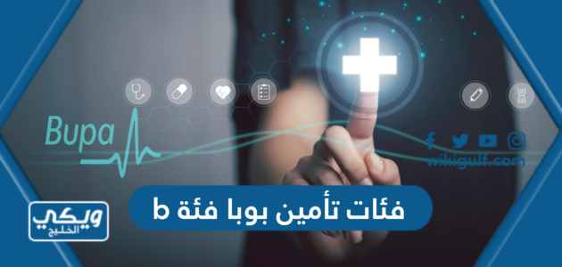 فئات تأمين بوبا فئة b