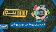 كم فريق يهبط من دوري روشن