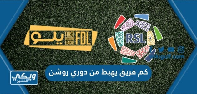 كم فريق يهبط من دوري روشن