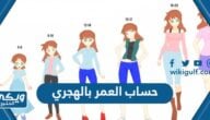 طريقة حساب العمر بالهجري اون لاين