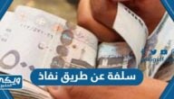 سلفة عن طريق نفاذ ، الحصول على تمويل بسهولة عبر len.sdb.gov