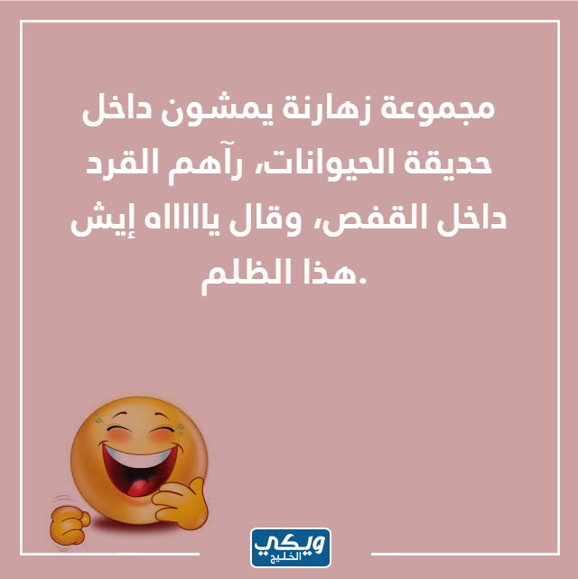 صور نكت زهارين تموت من الضحك