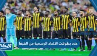 كم عدد بطولات الاتحاد الرسمية من الفيفا حتى الآن