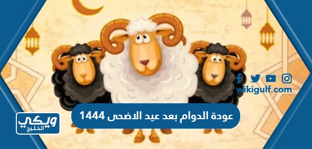 متى موعد عودة الدوام بعد عيد الاضحى 1445