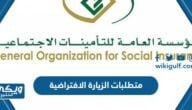 متطلبات الزيارة الافتراضية التامينات الاجتماعية 2024 في السعودية