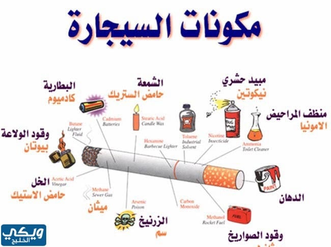 مطوية عن اليوم العالمي لمكافحة التدخين جاهزة للطباعة