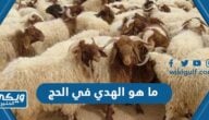 ما هو الهدي في الحج وما الفرق بين الهدي والاضحية