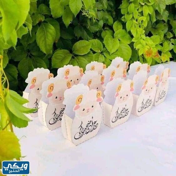 صور توزيعات عيد الاضحى 2023