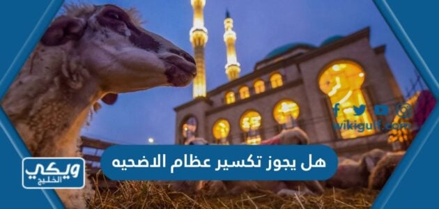 هل يجوز تكسير عظام الاضحيه