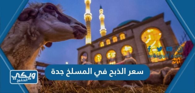 سعر الذبح في المسلخ جدة