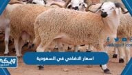 اسعار الاضاحي في السعودية 1444/2023 وكيفية حجزها بشكل الكتروني