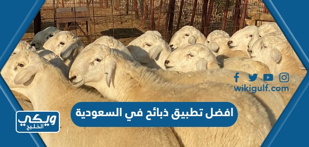 افضل تطبيق ذبائح في السعودية