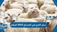 سعر الذبح للاضحية في المسلخ 2024 الرياض