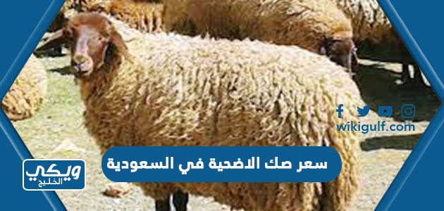 سعر صك الاضحية في السعودية