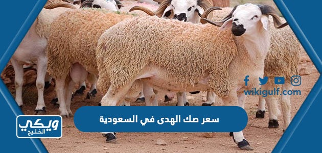 سعر صك الهدى في السعودية عام 2023