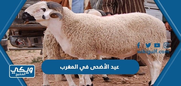 عيد الأضحى في المغرب 2023